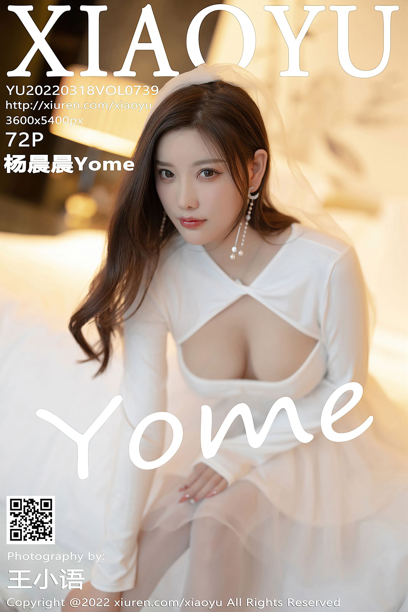 [XIAOYU语画界] 2022.03.18 VOL.739 杨晨晨Yome 丝袜美腿[73P]第14张