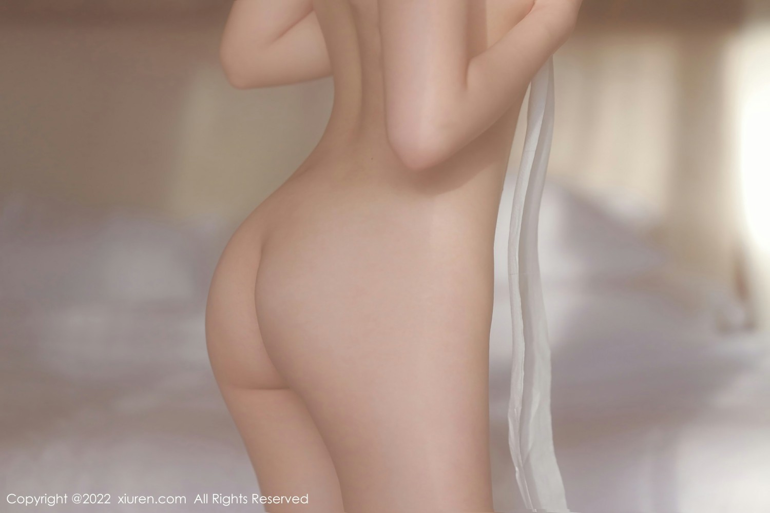 [XiuRen秀人网] 2022.01.19 No.4483 Niki可雅 轻透上衣第6张