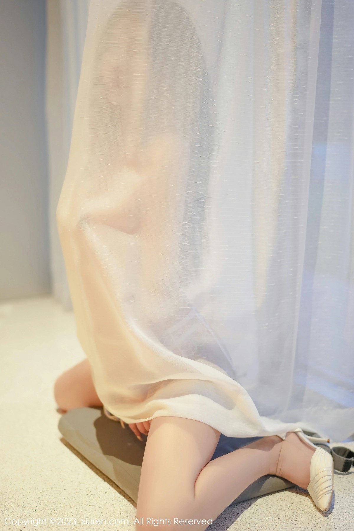 [XiuRen秀人网] 2023.05.12 No.6729 laura阿姣第7张