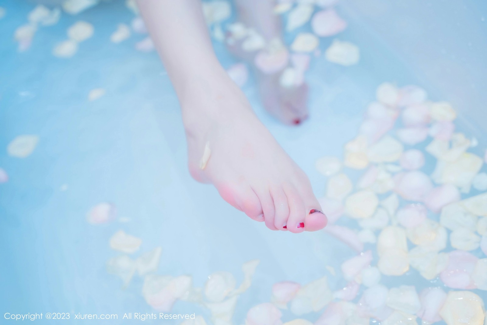 [XiuRen秀人网] 2023.06.28 No.6986 加朵babe第14张