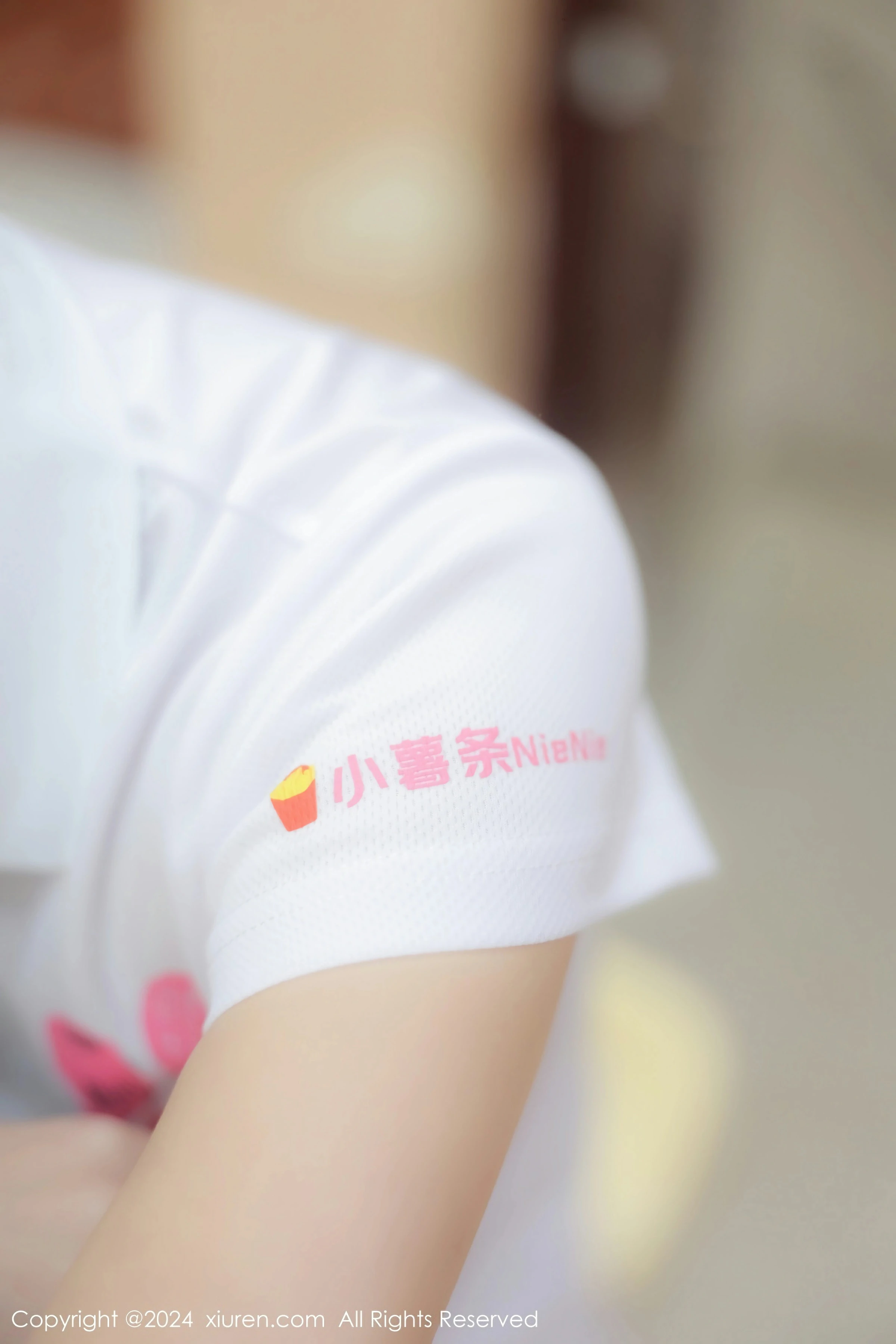 [XiuRen秀人网] 2024.02.20 No.8118 小薯条nienie第4张