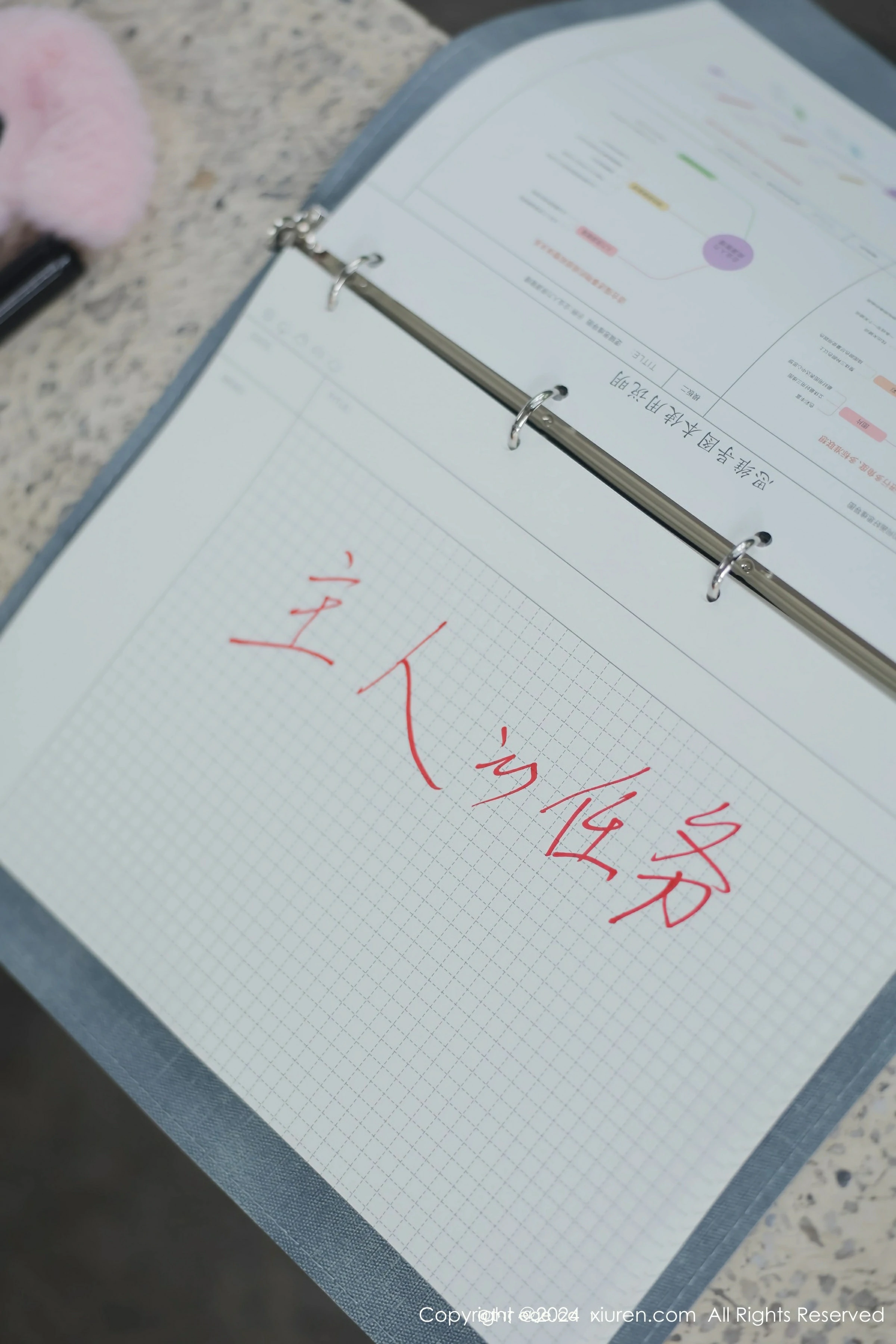 [XiuRen秀人网] 2024.04.02 No.8335 小薯条nienie第11张