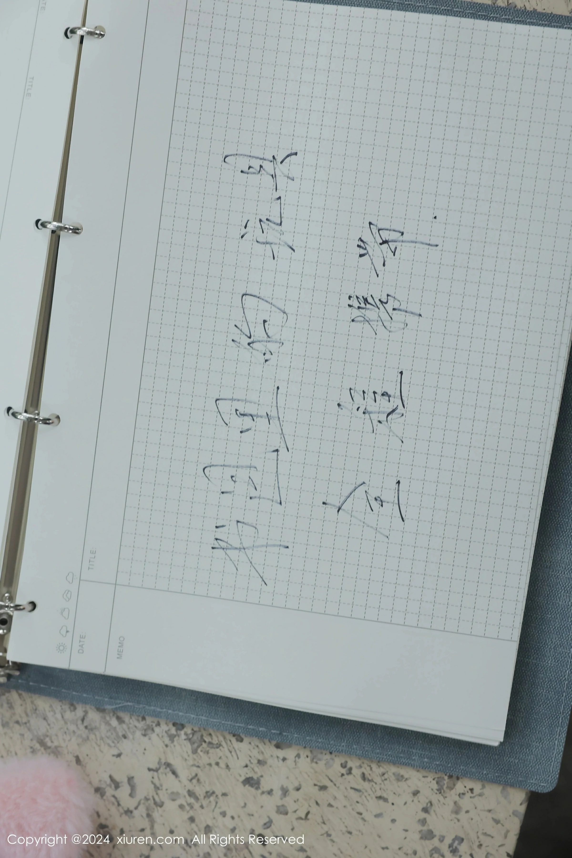 [XiuRen秀人网] 2024.04.02 No.8335 小薯条nienie第11张