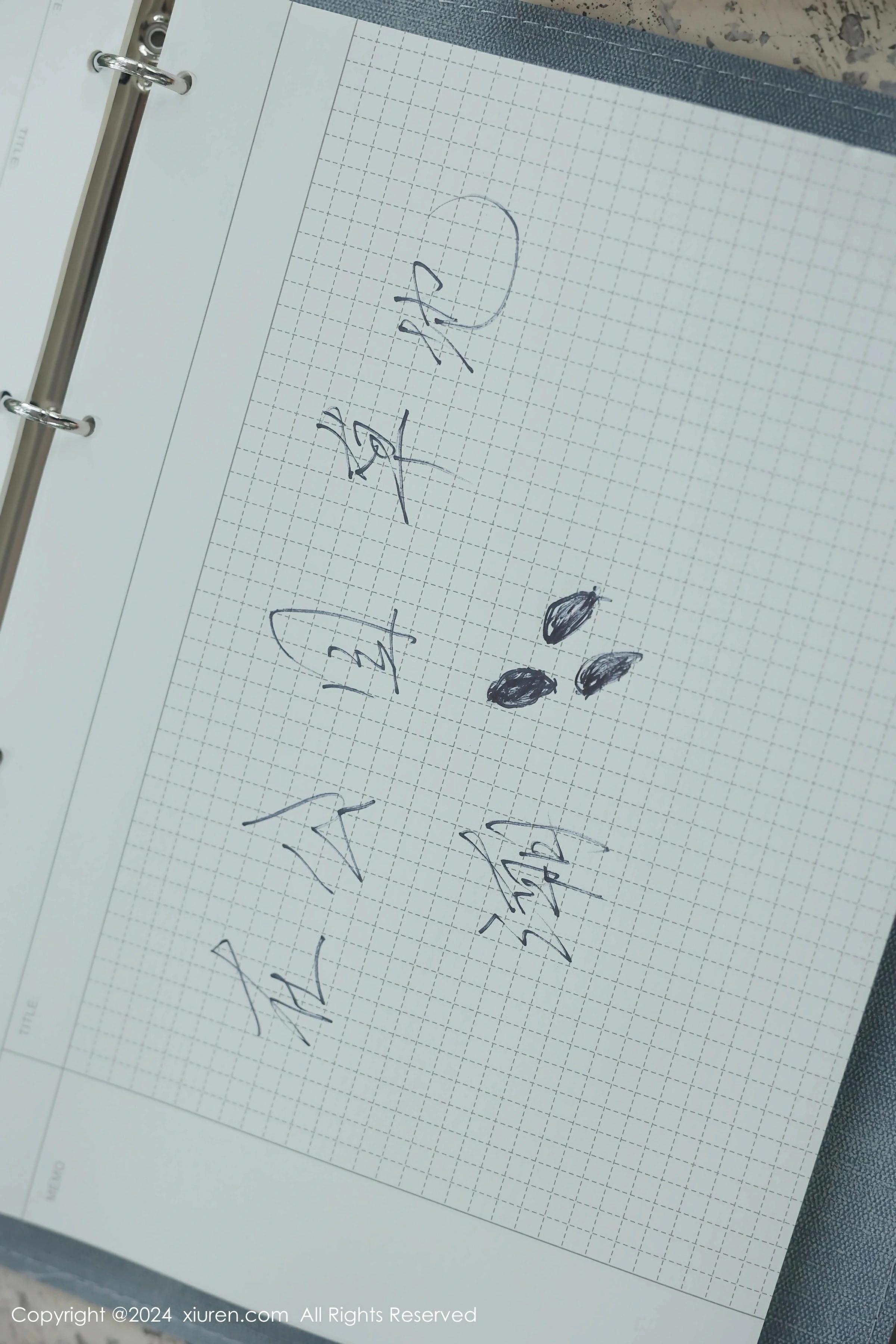 [XiuRen秀人网] 2024.04.02 No.8335 小薯条nienie第12张