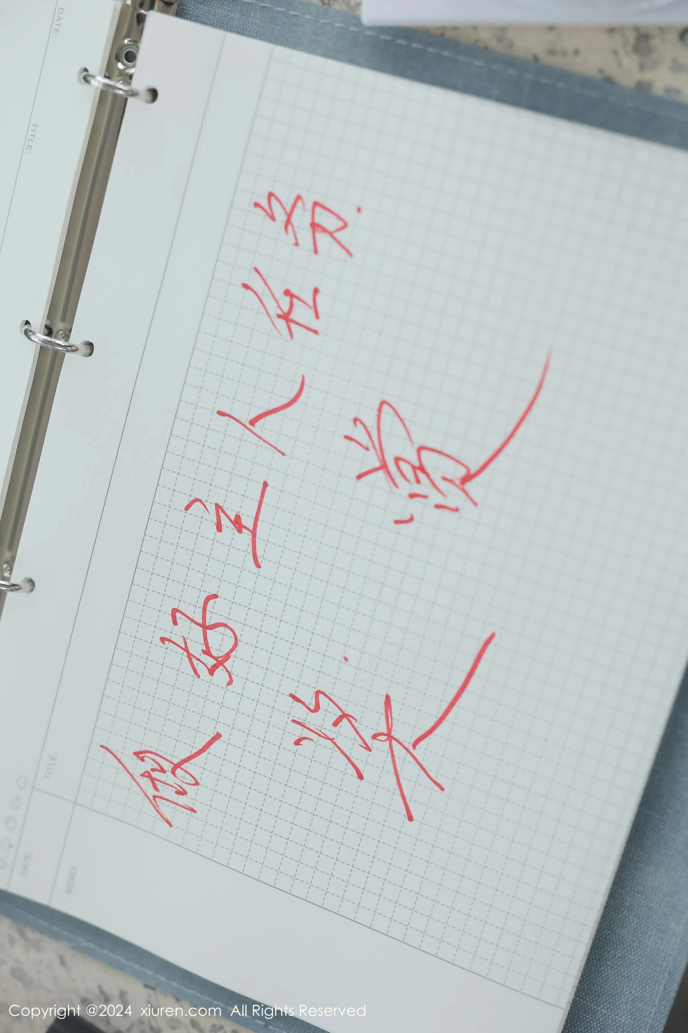 [XiuRen秀人网] 2024.04.02 No.8335 小薯条nienie第12张