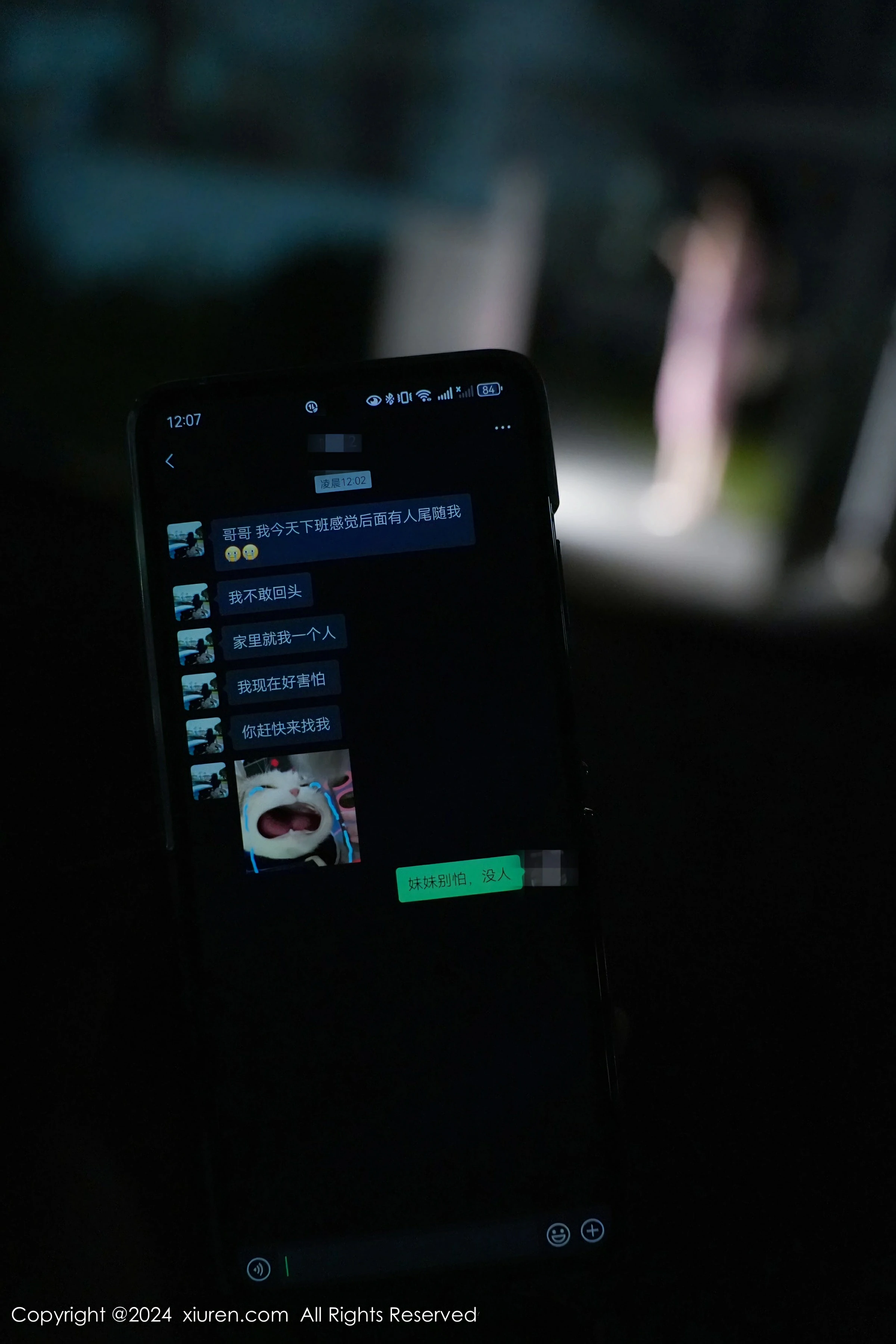 [XiuRen秀人网] 2024.07.12 No.8855 Erikaki第1张
