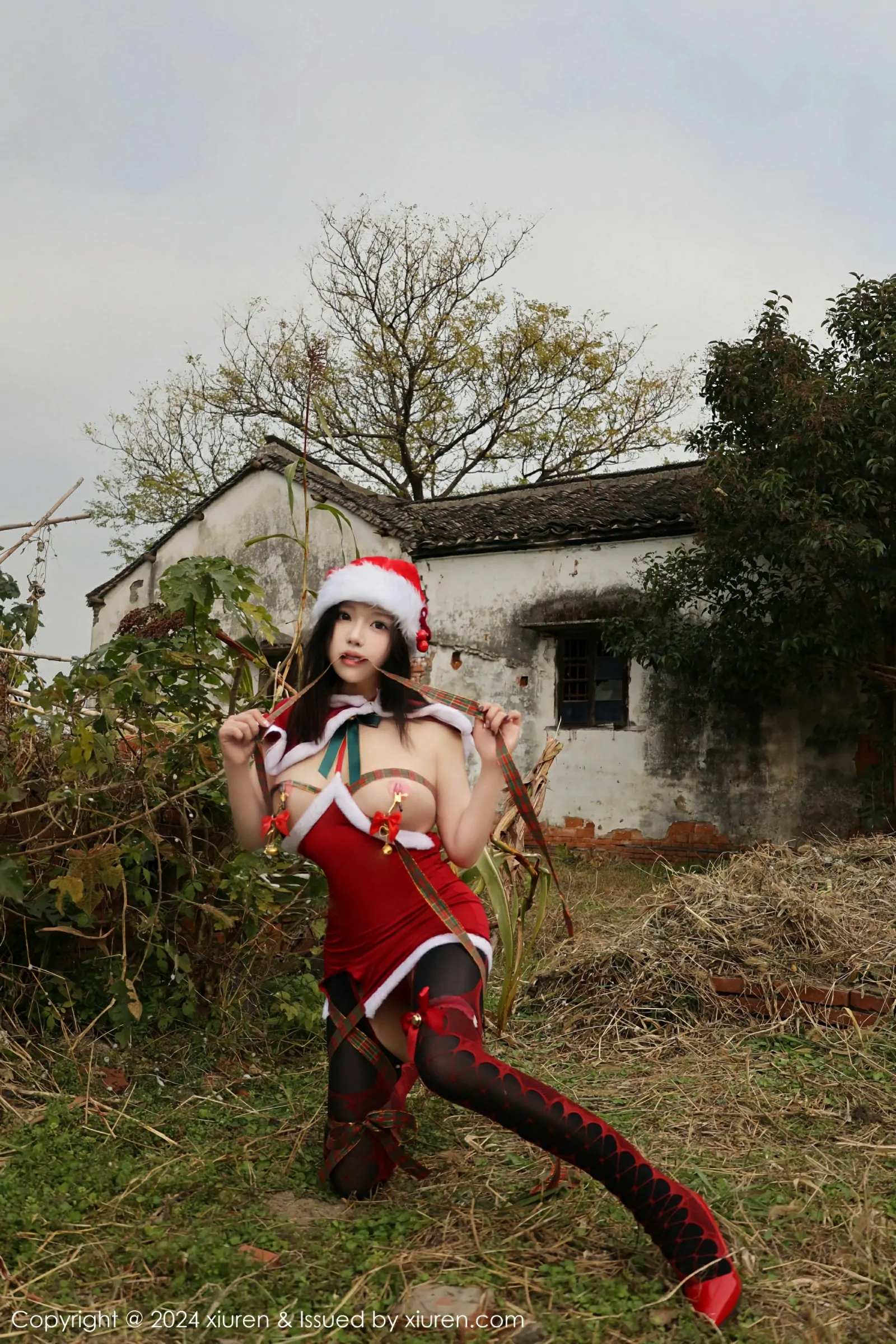 [XiuRen秀人网] 2024.12.20 No.9630 小薯条nienie第2张