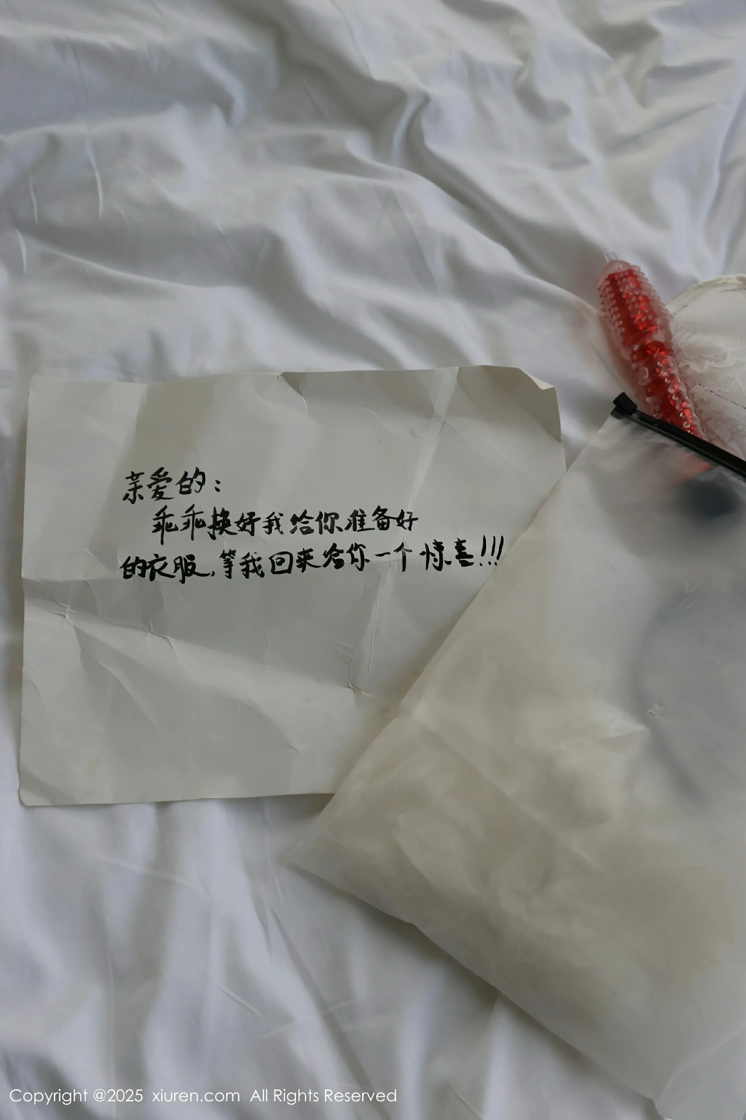 [XiuRen秀人网] 2025.01.03 No.9708 小薯条nienie第2张