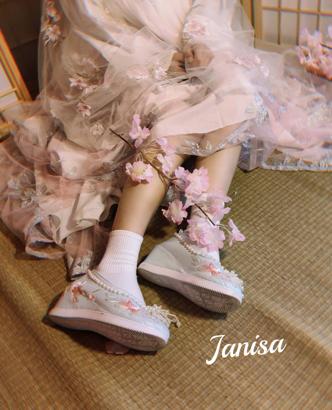 Janisa  朝花向晚 [22+1P]第2张